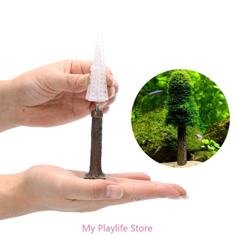 Planted Aquarium Mini - ตู้ปลามอสตกแต่งตู้ปลาที่ตั้งต้นไม้สร้างต้นไม้ขนาดเล็กของคุณเองภูมิทัศน์ป่าไม้ Grow พืชน้ำ