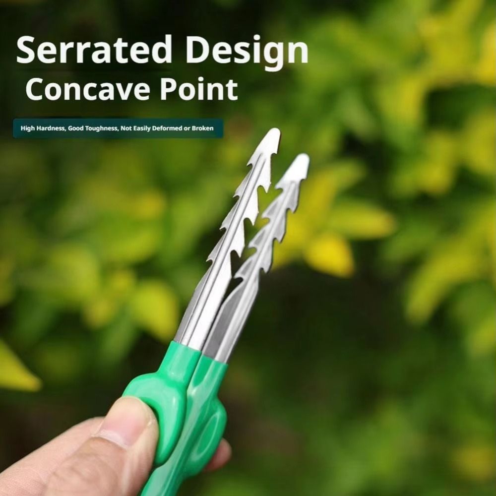 Planted Clip Tweezers - แหนบทำสวนสแตนเลส ปลายแหลมจัดเรียงอย่างแม่นยำ ด้ามจับความยาวปานกลาง สำหรับดูแลต้นไม้