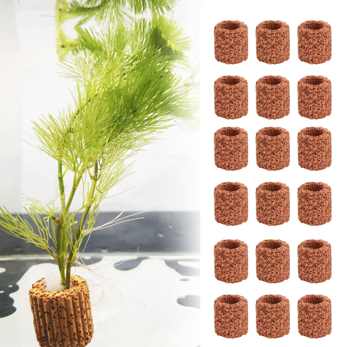 Aquarium Plant Growth - ของตกแต่งตู้ปลาแหวนกระถางต้นไม้เซรามิกสำหรับตกแต่งภูมิทัศน์ตู้ปลา10/20ชิ้น