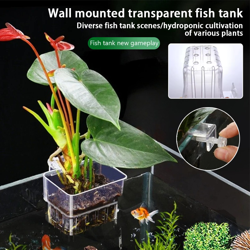 Aquarium Plant Growth - กระถางแขวนติดผนังสำหรับปลูกพืชน้ำในตู้ปลา ตะกร้าปลูกพืชน้ำในตู้ปลา กระถางปลูกพืชน้ำในตู้ปลา