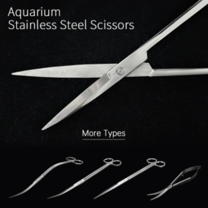 Aquarium Planting Ideas - กรรไกรตัดแต่งพืชน้ำสแตนเลส Week Aqua รุ่น Sharp Pruning