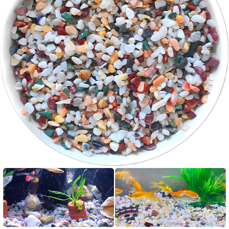 Planted Aquarium With Sand - หินกรวดธรรมชาติ 200~1000 กรัม ไมโครแลนด์สเคป การตกแต่งสวน ตู้ปลา