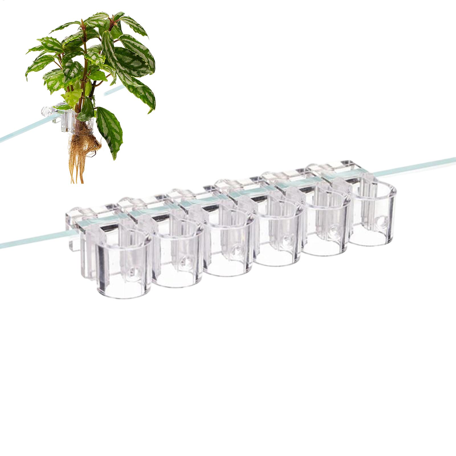 Planted Aquarium Mini - กระถางปลูกต้นไม้ในตู้ปลาขนาดเล็ก 6 ชิ้น ที่วางต้นไม้ในตู้ปลา ถ้วยรองรับต้นไม้ในตู้ปลา ที่ให้อาหารปลาในตู้ปลา
