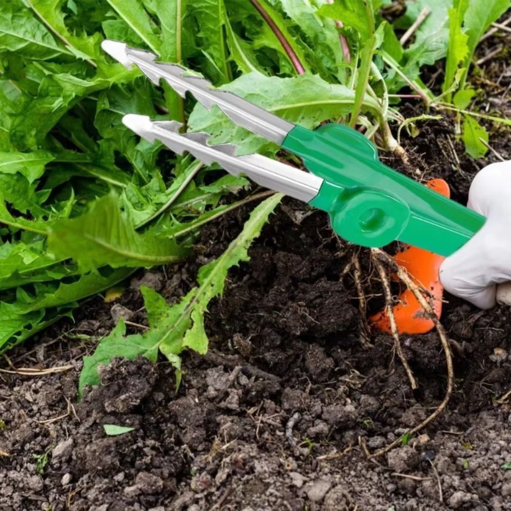 Planted Clip Tweezers - แหนบทำสวนสแตนเลสอเนกประสงค์ ปลายแหลมจัดเรียงอย่างแม่นยำ สำหรับดูแลต้นไม้ ด้ามจับความยาวปานกลาง