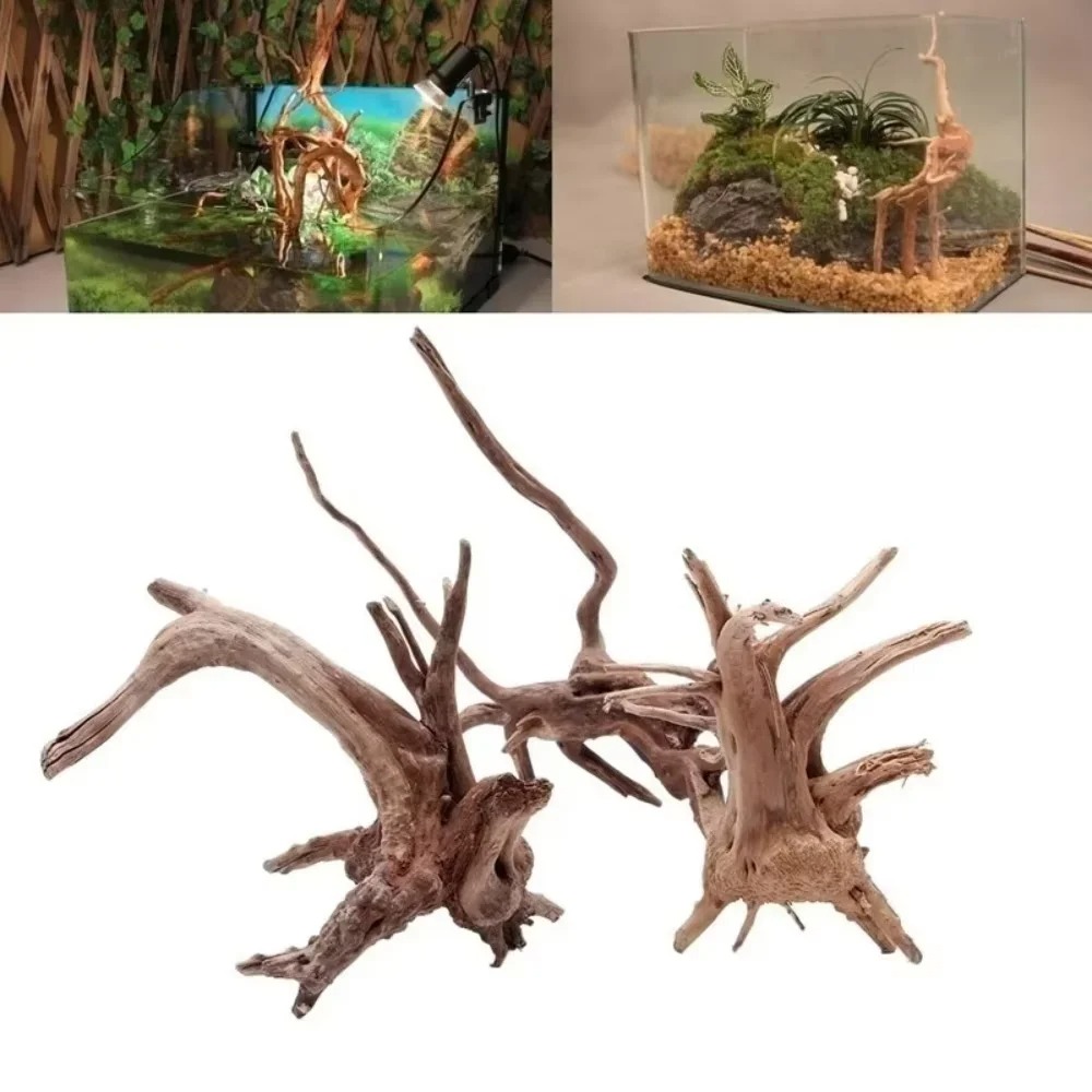 Aquarium Planting Ideas - (15-20 ซม.) ไม้ลอยน้ำธรรมชาติสำหรับตกแต่งตู้ปลา - ของตกแต่งตู้ปลาคุณภาพพรีเมียม ไม้แท้สำหรับสร้างภูมิทัศน์ในสภาพแวดล้อมน้ำ