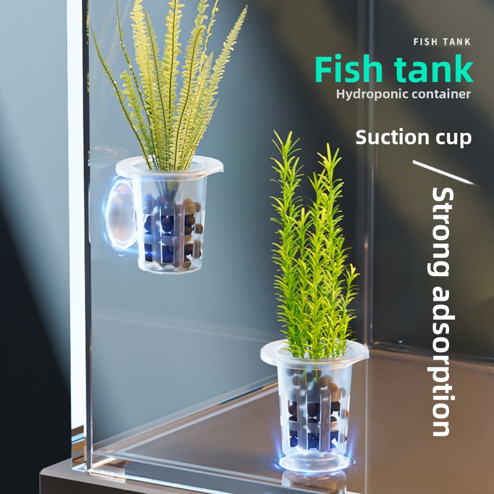 กระถางปลูกพืชแบบไฮโดรโปนิกส์ใส - Aquarium Plant Growth บทวิจารณ์และราคา