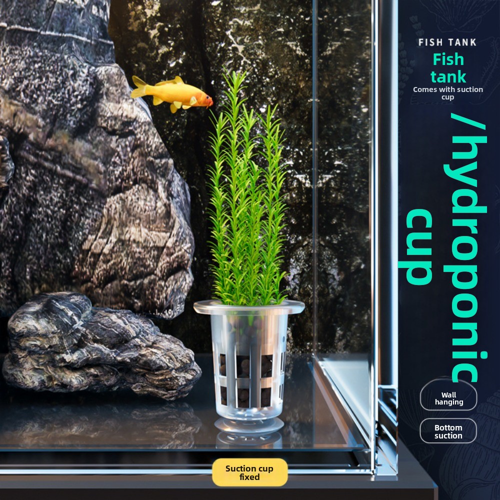 กระถางปลูกพืชแบบไฮโดรโปนิกส์ใส - Aquarium Plant Growth บทวิจารณ์และราคา
