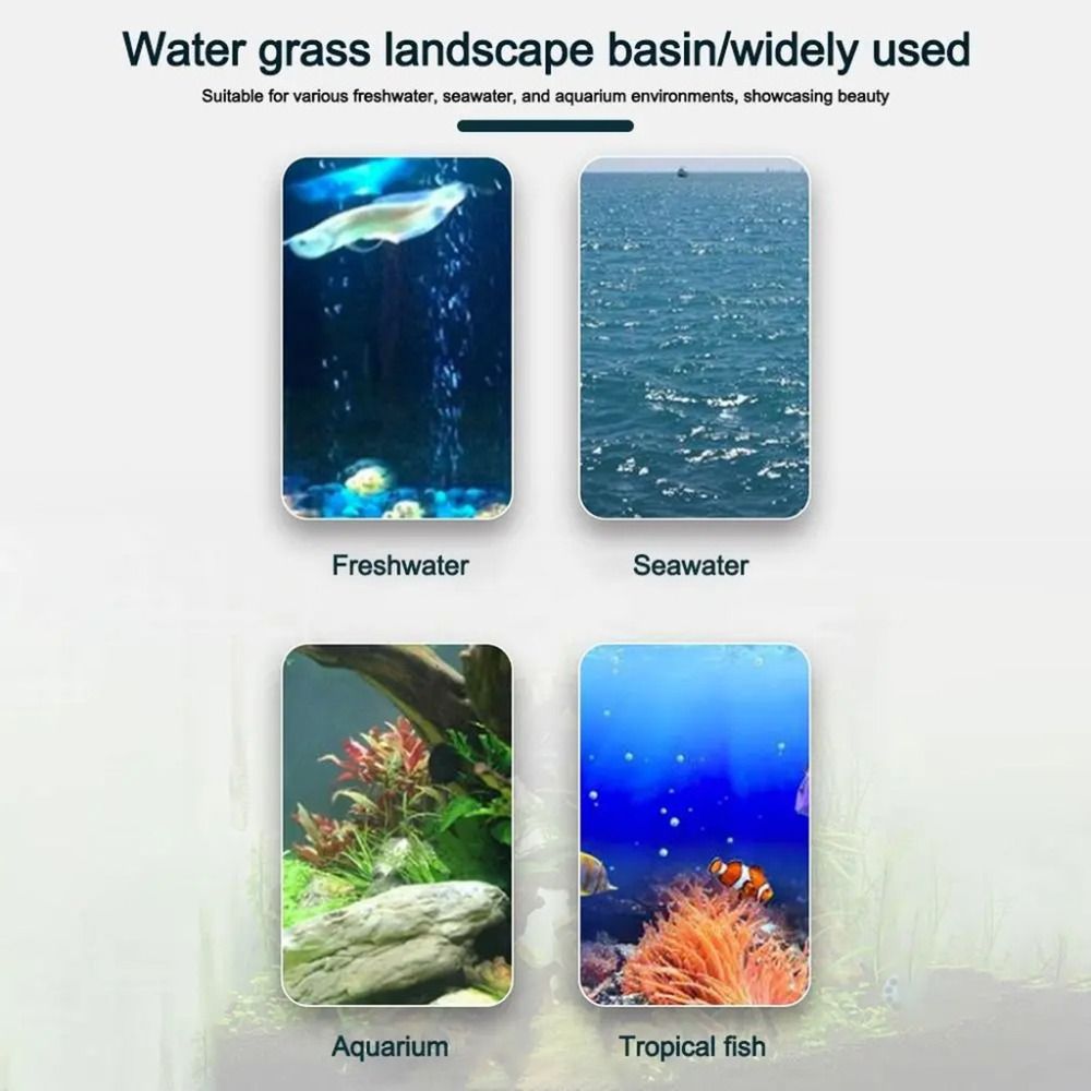 กระถางปลูกพืชแบบไฮโดรโปนิกส์ใส - Aquarium Plant Growth บทวิจารณ์และราคา