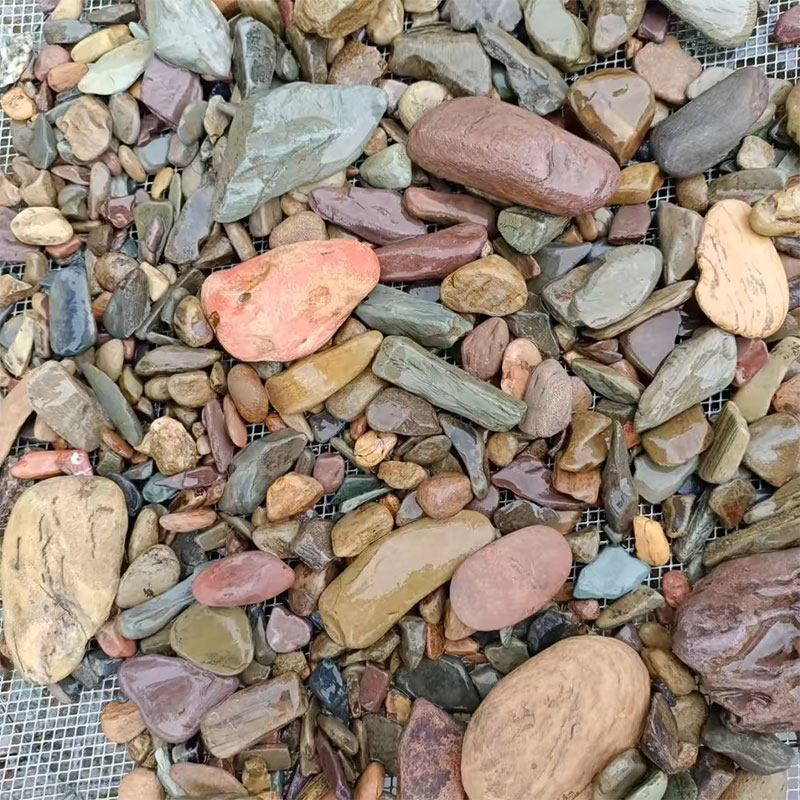 500g ถังปลาด้านล่างหินทราย Aqu - Planted Aquarium With Sand บทวิจารณ์และราคา