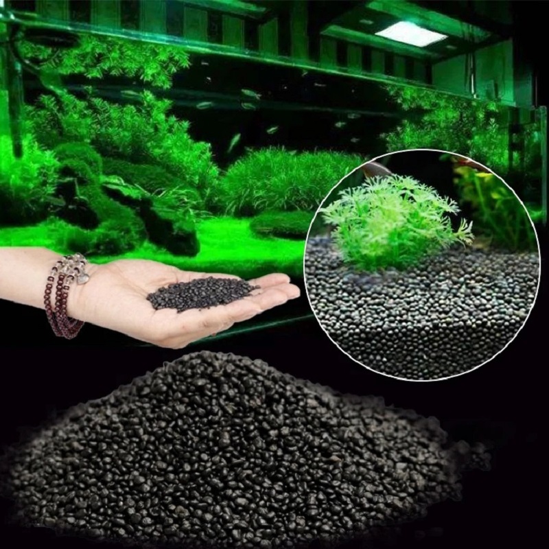 ถังปลาน้ําหญ้าโคลนพืชเมล็ดดิน  - Planted Aquarium With Sand บทวิจารณ์และราคา