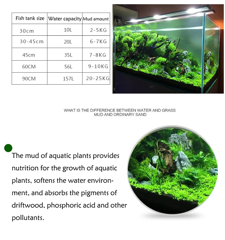 ถังปลาน้ําหญ้าโคลนพืชเมล็ดดิน  - Planted Aquarium With Sand บทวิจารณ์และราคา