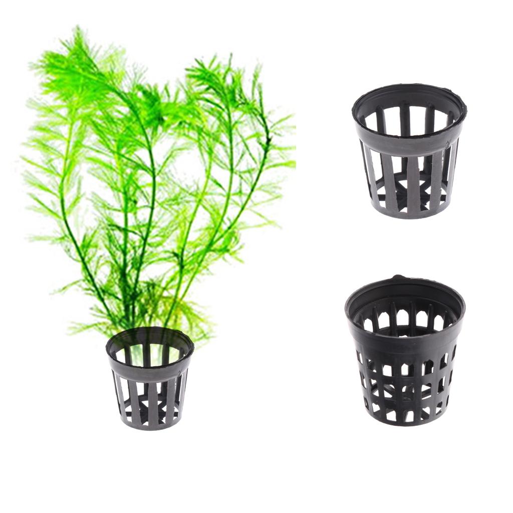 ตะกร้าปลูกต้นไม้แบบตาข่ายร่องส - Planted Aquarium Mini บทวิจารณ์และราคา