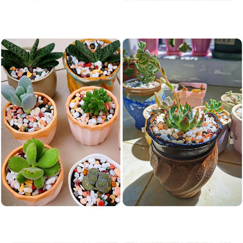 ทรายธรรมชาติสำหรับตู้ปลา 5 มม. - Planted Aquarium With Sand บทวิจารณ์และราคา