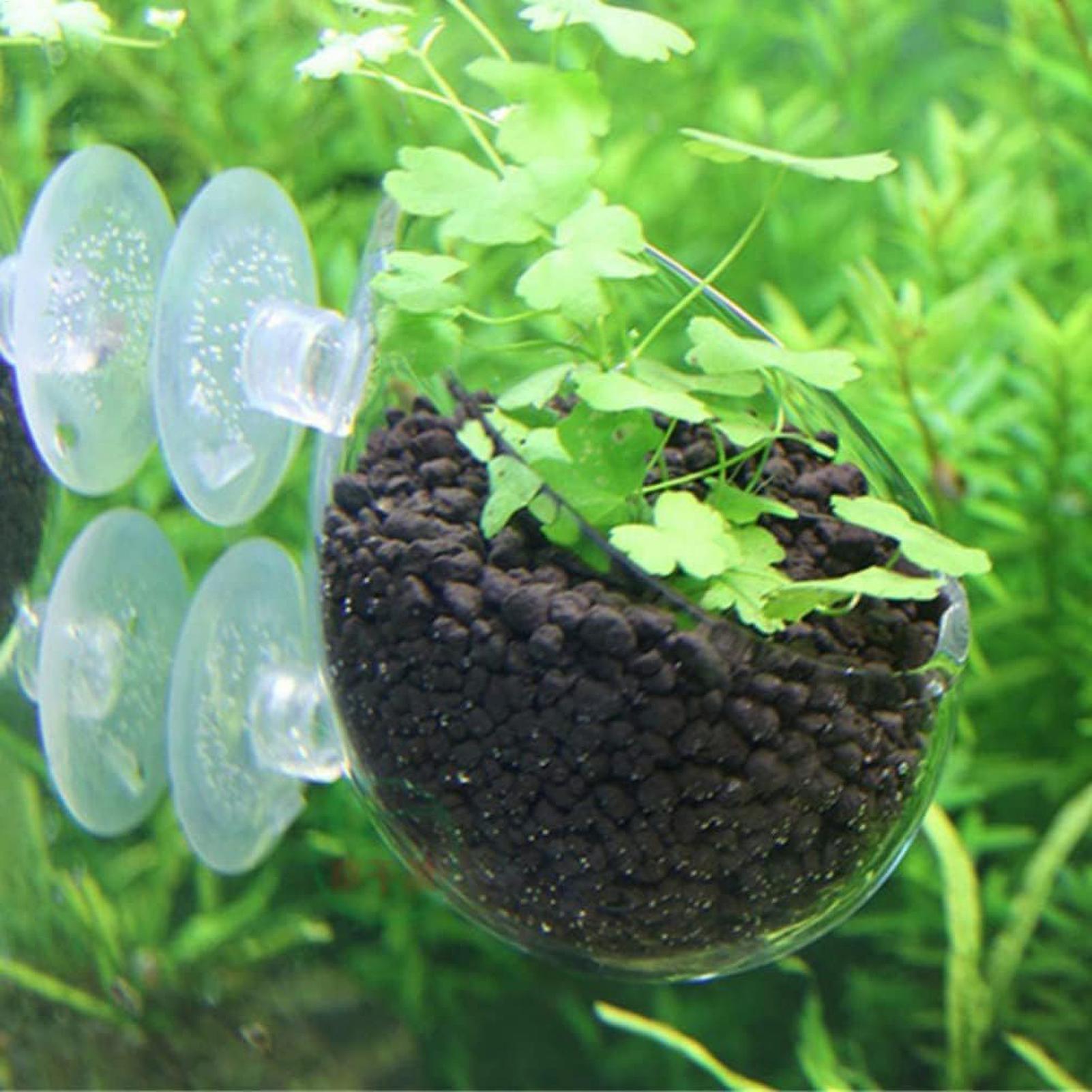 ที่วางต้นไม้ในตู้ปลา กระถางแก้ - Aquarium Plant Growth บทวิจารณ์และราคา