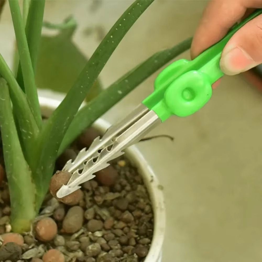 แหนบทำสวนสแตนเลส ปลายแหลมจัดเร - Planted Clip Tweezers บทวิจารณ์และราคา