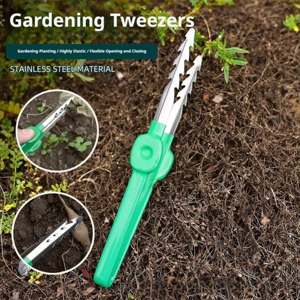 แหนบทำสวนสแตนเลส ปลายแหลมจัดเร - Planted Clip Tweezers บทวิจารณ์และราคา