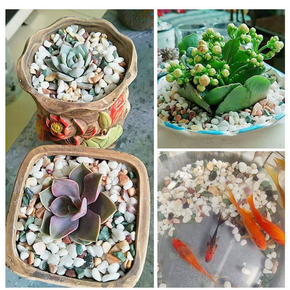 50/100g คริสตัลธรรมชาติกรวดหิน - Planted Aquarium With Sand บทวิจารณ์และราคา
