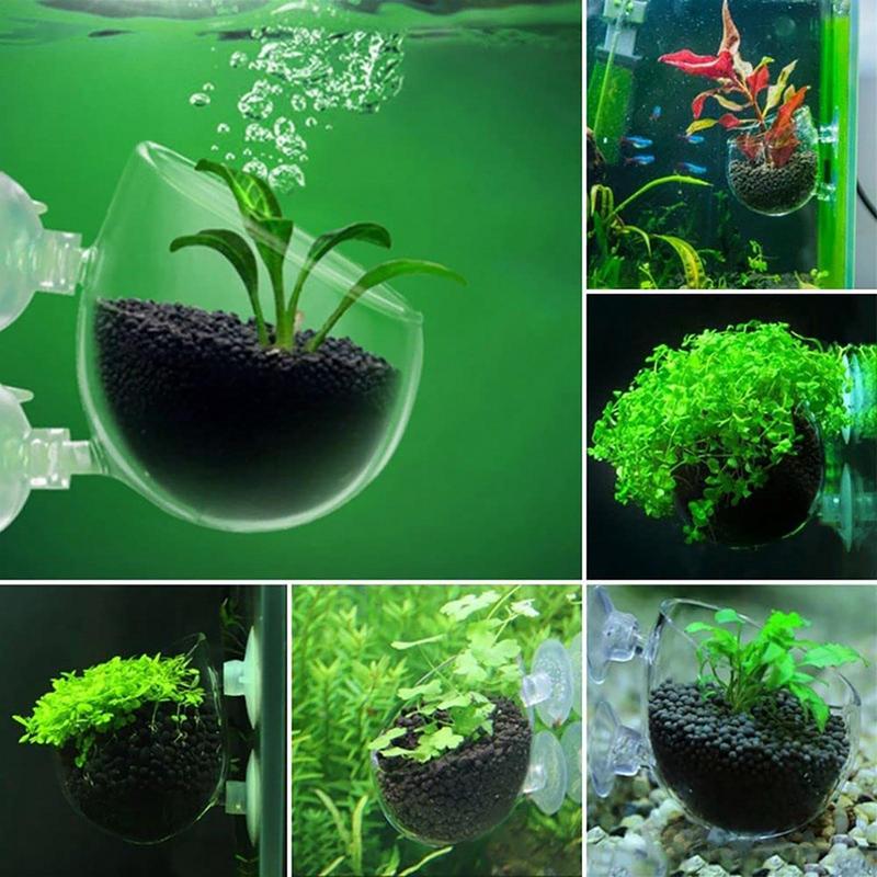 ตกแต่งตู้ปลาถ้วยหม้ออะคริลิคน้ - Aquarium Plant Growth บทวิจารณ์และราคา