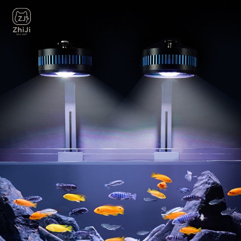 ไฟดาวน์ไลท์ LED สำหรับตู้ปลาแบ - Aquarium Plant On Wood บทวิจารณ์และราคา