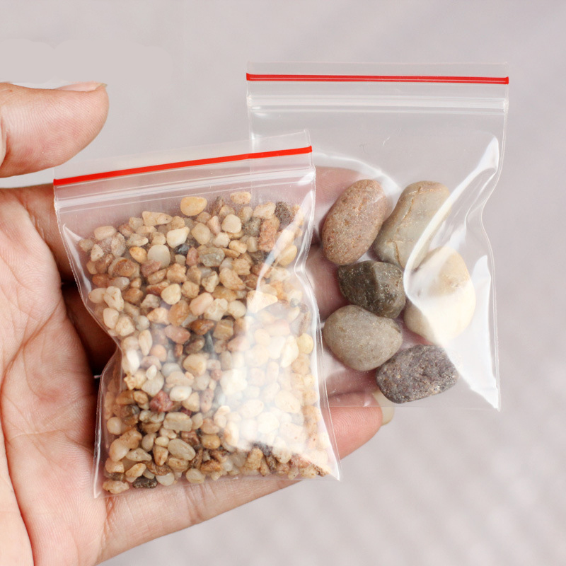 Micro Landscape ตกแต่งสวนทราย  - Planted Aquarium With Sand บทวิจารณ์และราคา