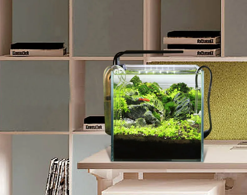 Chihiros C Series ADA สไตล์พืช - Planted Aquarium Mini บทวิจารณ์และราคา