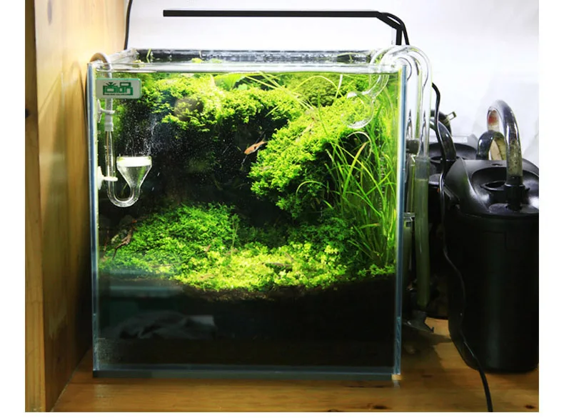 Chihiros C Series ADA สไตล์พืช - Planted Aquarium Mini บทวิจารณ์และราคา