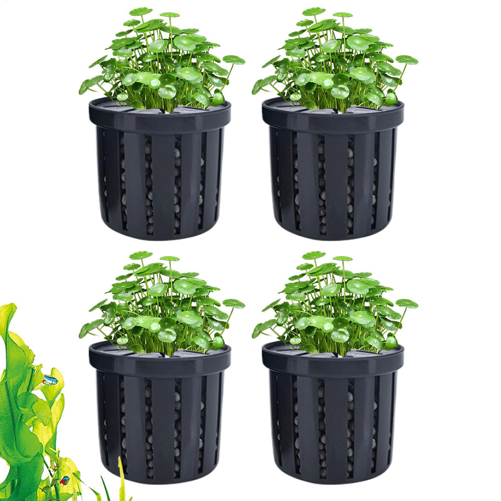 กระถางปลูกต้นไม้ในตู้ปลา 4 ชิ้ - Aquarium Plant Growth บทวิจารณ์และราคา
