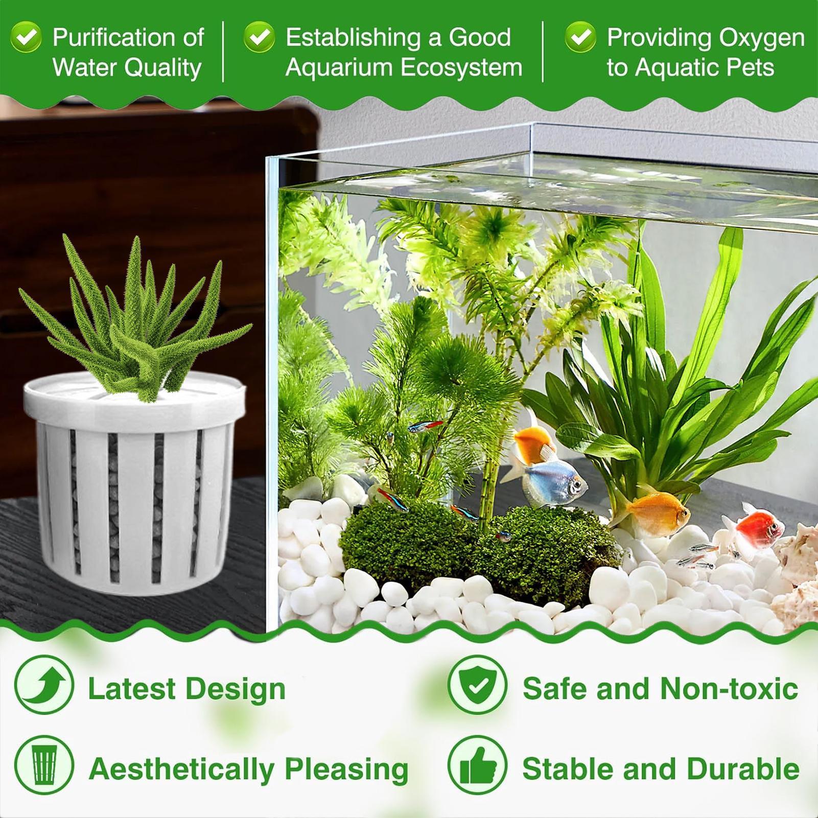 กระถางปลูกต้นไม้ในตู้ปลา 4 ชิ้ - Aquarium Plant Growth บทวิจารณ์และราคา