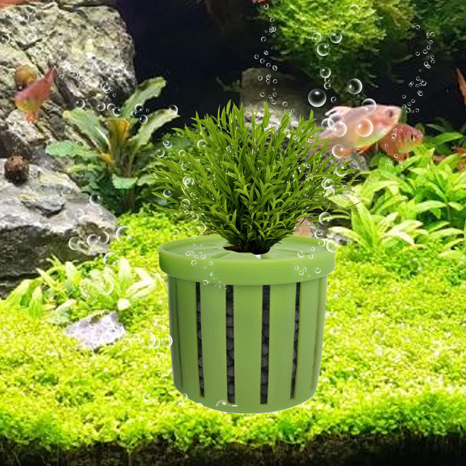 กระถางปลูกต้นไม้ในตู้ปลา 4 ชิ้ - Aquarium Plant Growth บทวิจารณ์และราคา