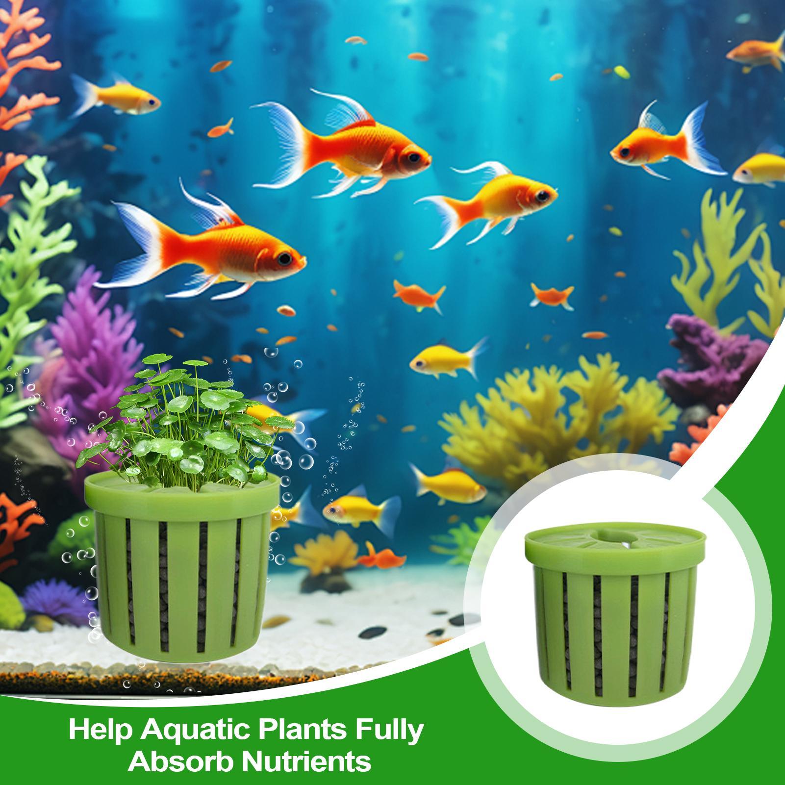 กระถางปลูกต้นไม้ในตู้ปลา 4 ชิ้ - Aquarium Plant Growth บทวิจารณ์และราคา