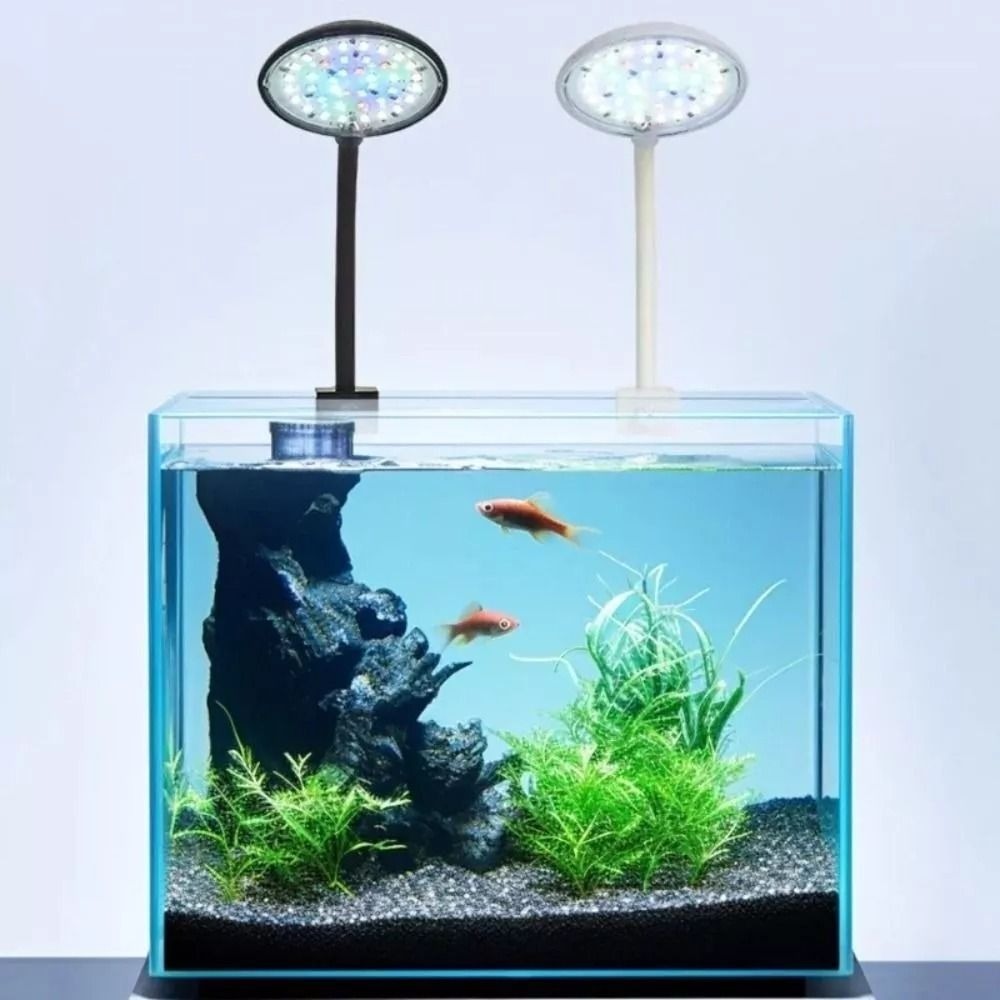 ใหม่ Mini Fish Tank คลิปโคมไฟ  - Planted Aquarium Mini บทวิจารณ์และราคา
