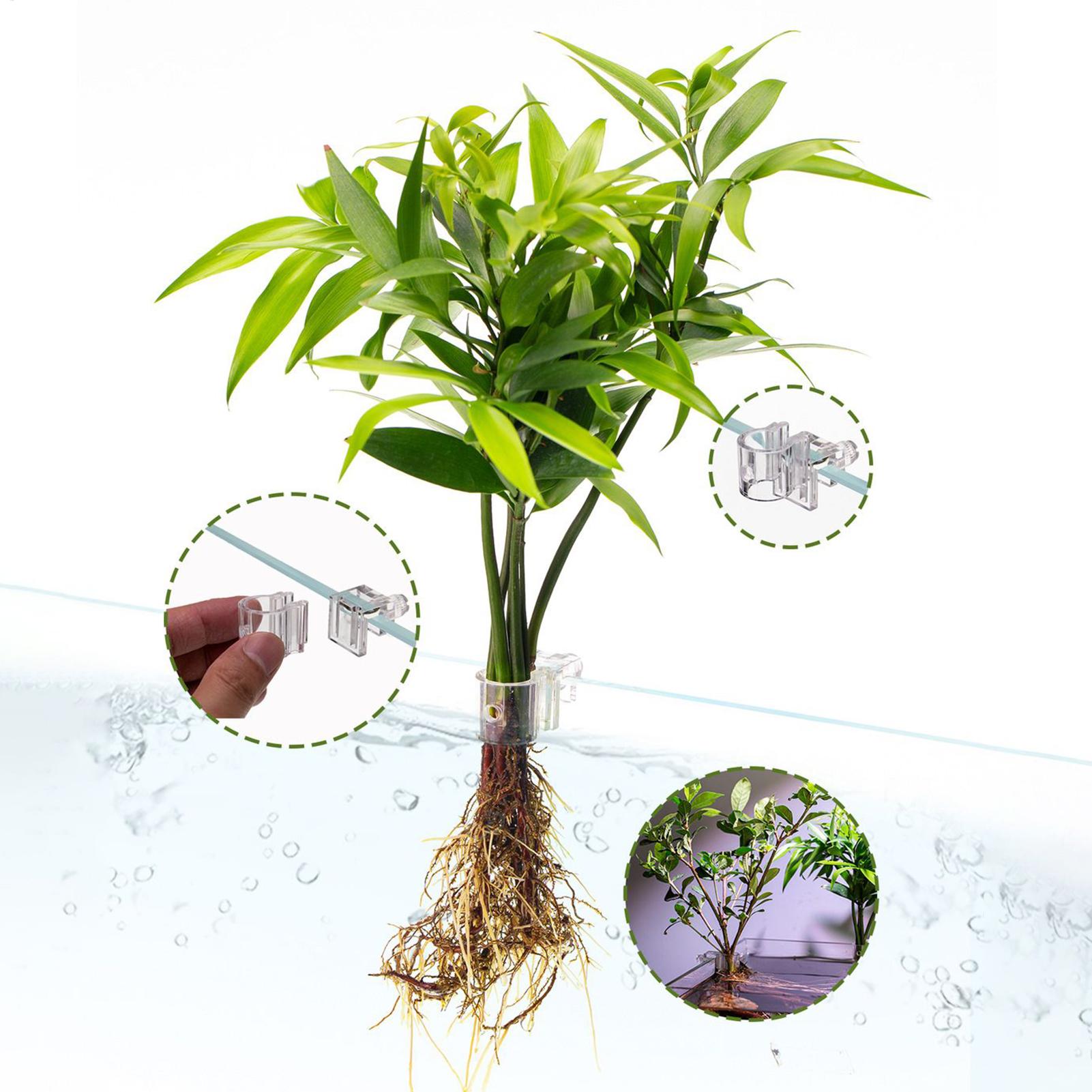 กระถางปลูกต้นไม้ในตู้ปลาขนาดเล - Planted Aquarium Mini บทวิจารณ์และราคา