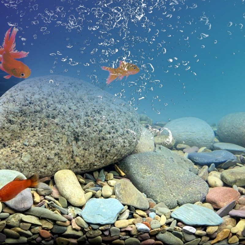 ทรายตกแต่งพื้นตู้ปลาแบบธรรมชาต - Planted Aquarium With Sand บทวิจารณ์และราคา