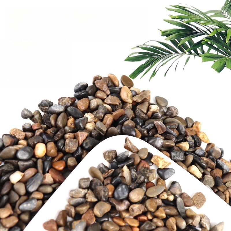 ทรายตกแต่งพื้นตู้ปลาแบบธรรมชาต - Planted Aquarium With Sand บทวิจารณ์และราคา