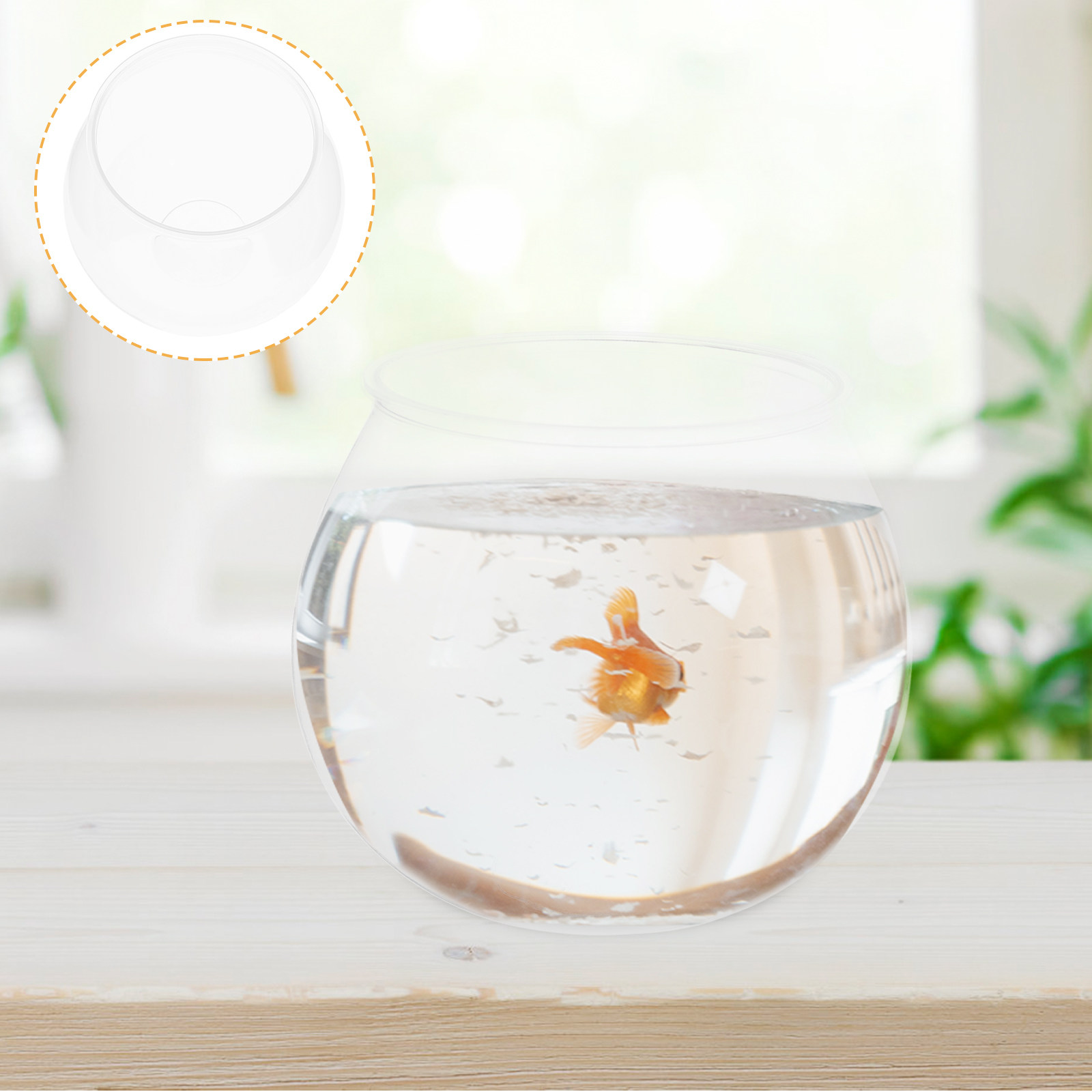 ตู้ปลาขนาดเล็ก 4 ชิ้น ทำจากพลา - Planted Aquarium Mini บทวิจารณ์และราคา