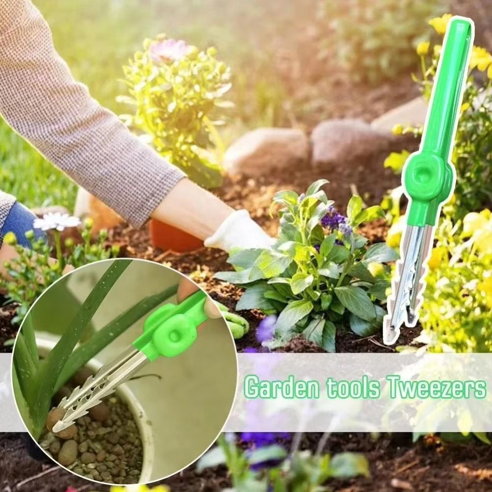แหนบทำสวนสแตนเลสอเนกประสงค์ ปล - Planted Clip Tweezers บทวิจารณ์และราคา