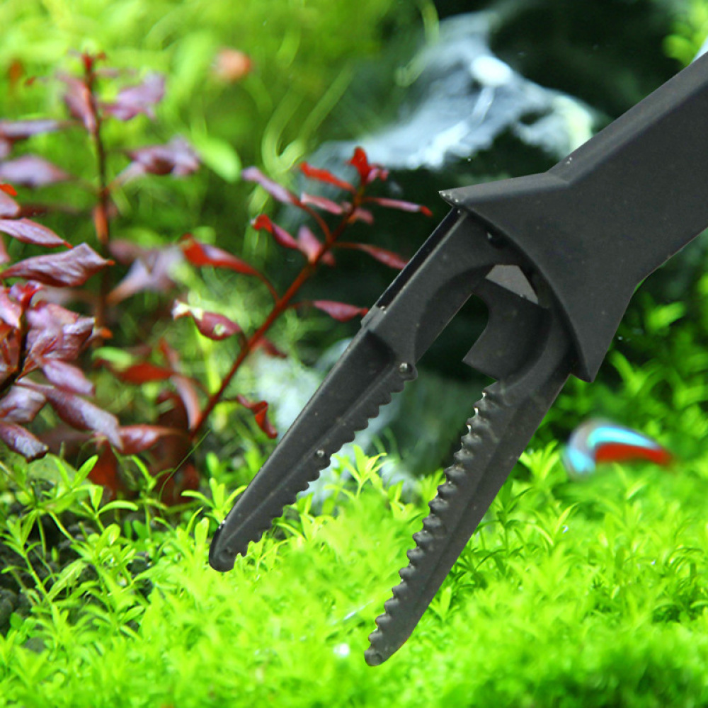 แหนบสำหรับปลูกพืชน้ำในตู้ปลา ค - Planted Clip Tweezers บทวิจารณ์และราคา