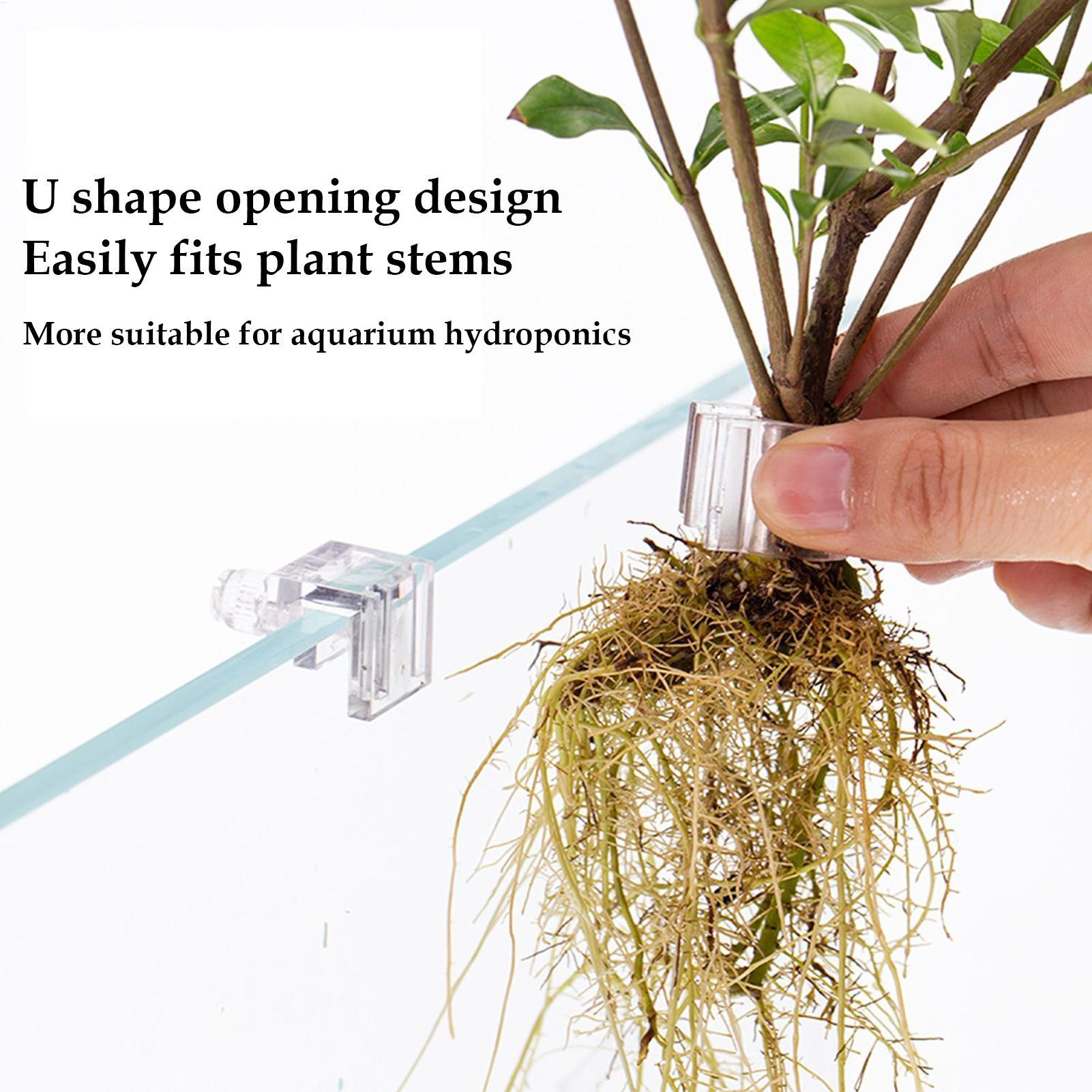 ตะกร้าปลูกต้นไม้ในตู้ปลา กระถา - Aquarium Plant Growth บทวิจารณ์และราคา
