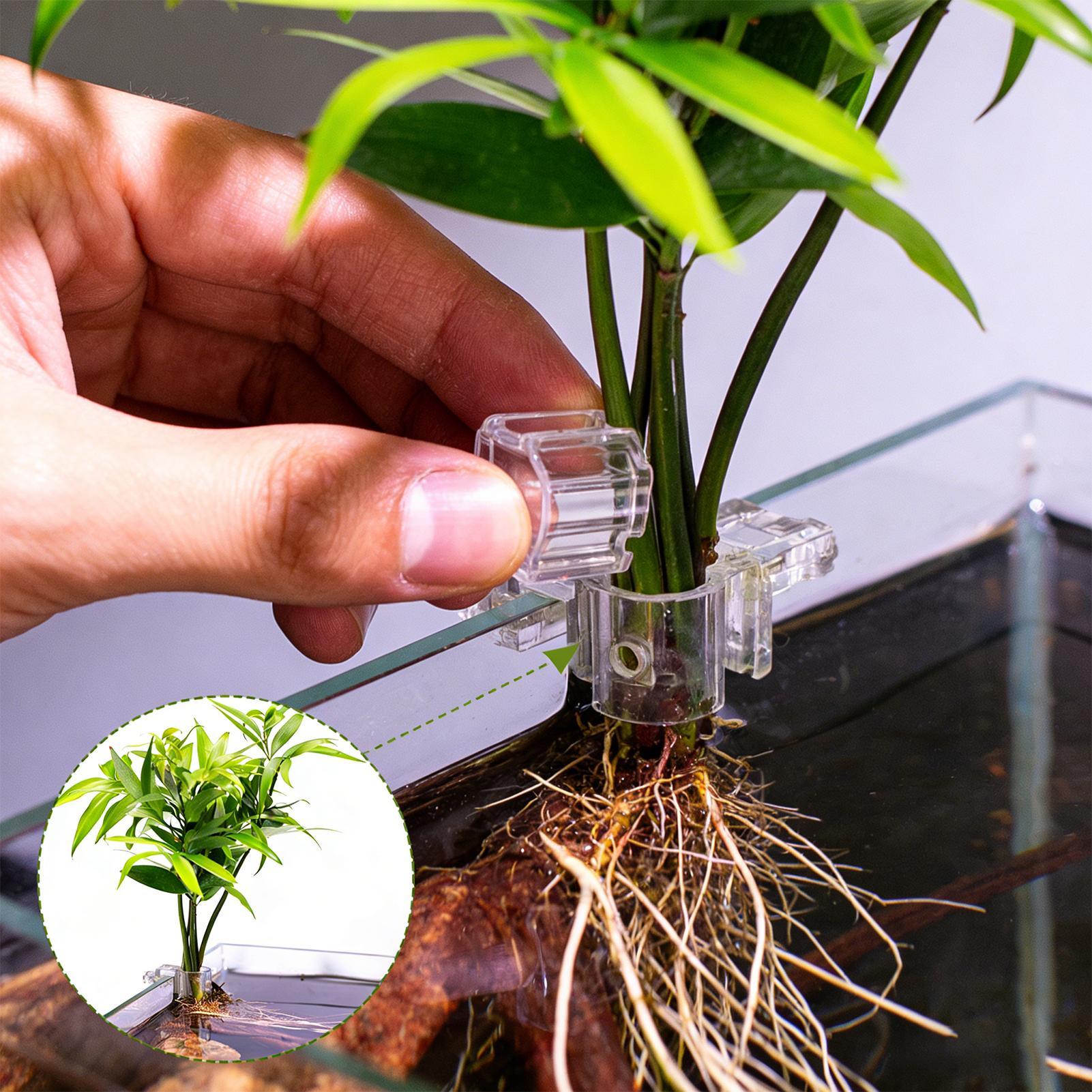 ตะกร้าปลูกต้นไม้ในตู้ปลา กระถา - Aquarium Plant Growth บทวิจารณ์และราคา