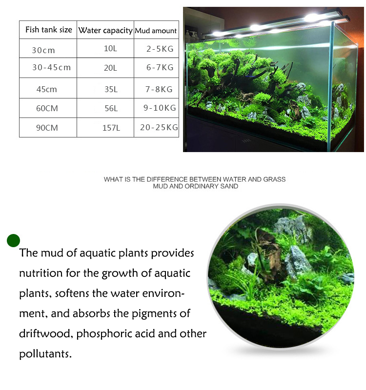 พิพิธภัณฑ์สัตว์น้ำเมล็ดพืชดิน  - Aquarium Planting Ideas บทวิจารณ์และราคา