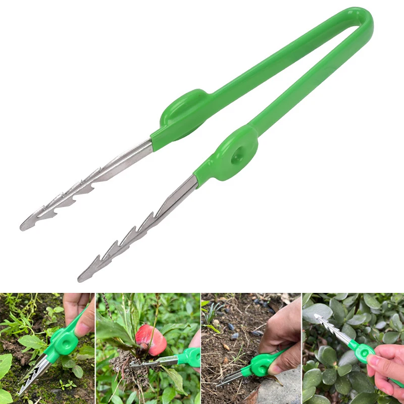 1 PC สวนแหนบ Succulent พืชกระถ - Planted Clip Tweezers บทวิจารณ์และราคา