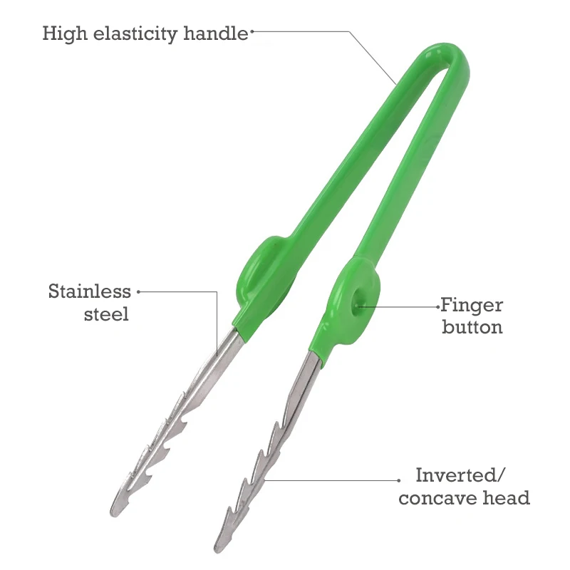 1 PC สวนแหนบ Succulent พืชกระถ - Planted Clip Tweezers บทวิจารณ์และราคา