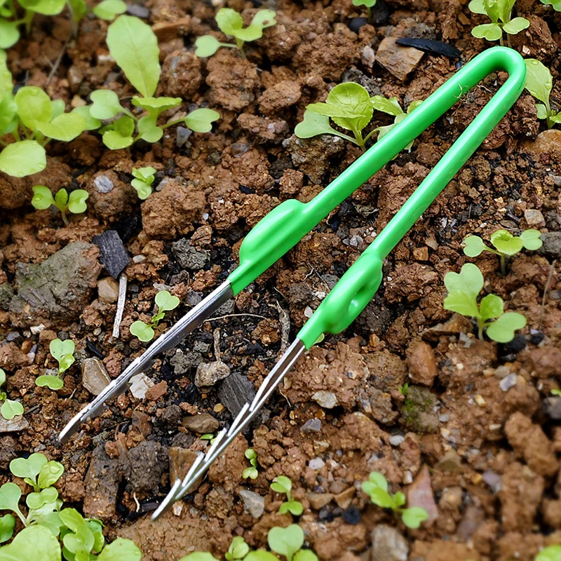 1 PC สวนแหนบ Succulent พืชกระถ - Planted Clip Tweezers บทวิจารณ์และราคา