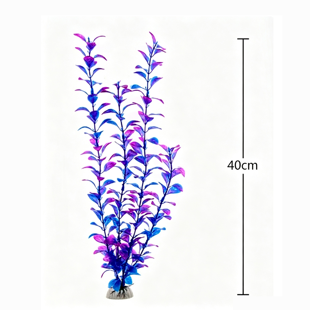 ต้นไม้ประดับตู้ปลาเทียม หญ้าใต - Planted Aquarium With Sand บทวิจารณ์และราคา