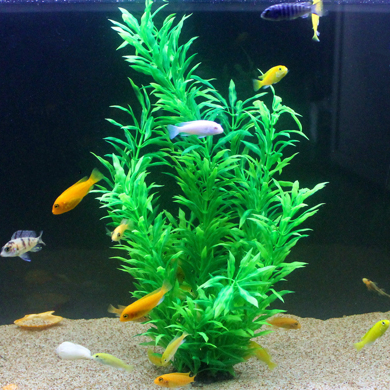50 ซม.ถังปลาประดิษฐ์พืชหายากAq - Aquarium Planting Ideas บทวิจารณ์และราคา
