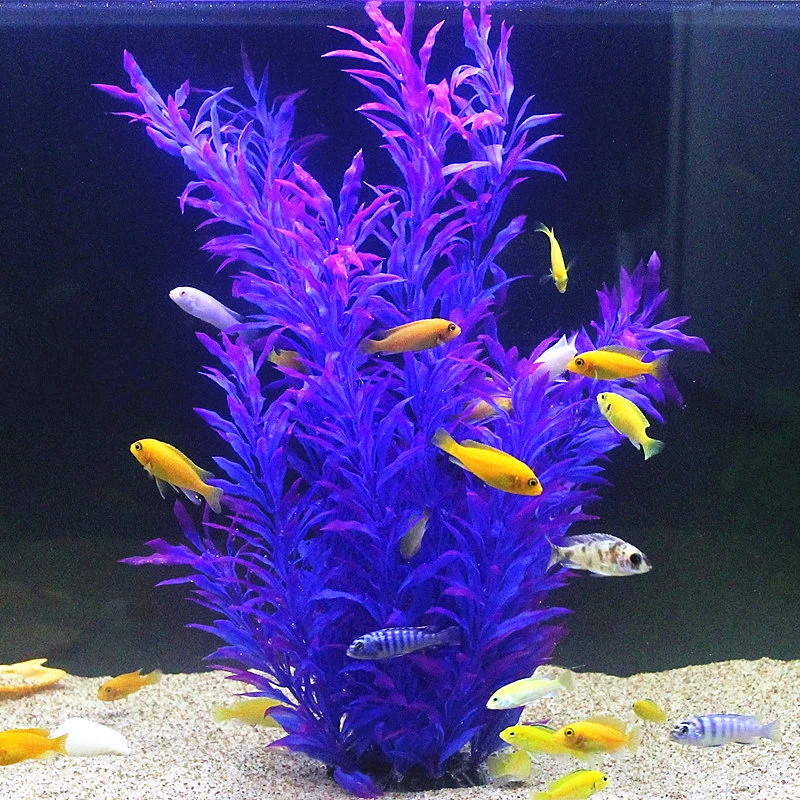 50 ซม.ถังปลาประดิษฐ์พืชหายากAq - Aquarium Planting Ideas บทวิจารณ์และราคา