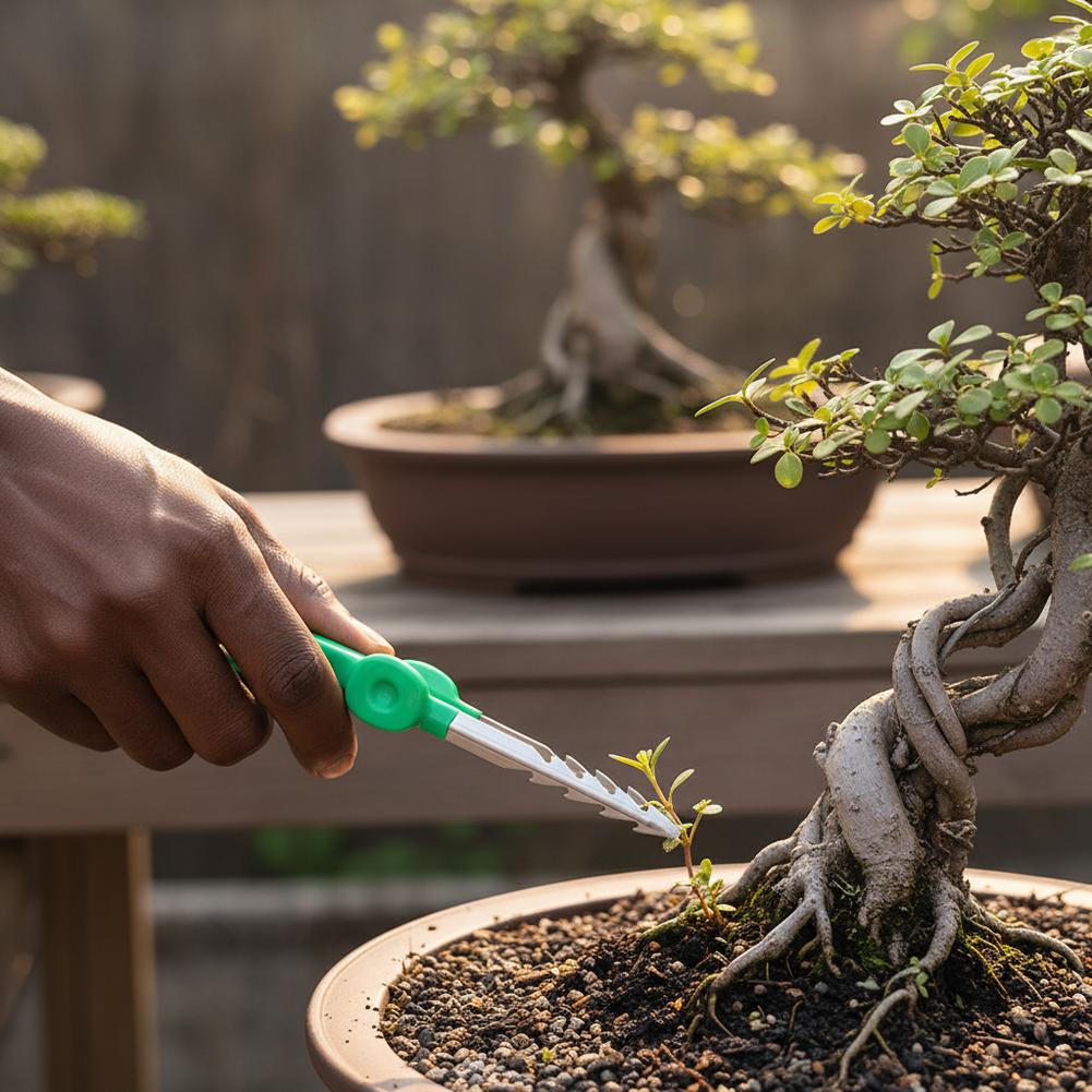ที่หนีบถอนวัชพืชสำหรับสวนกลางแ - Planted Clip Tweezers บทวิจารณ์และราคา
