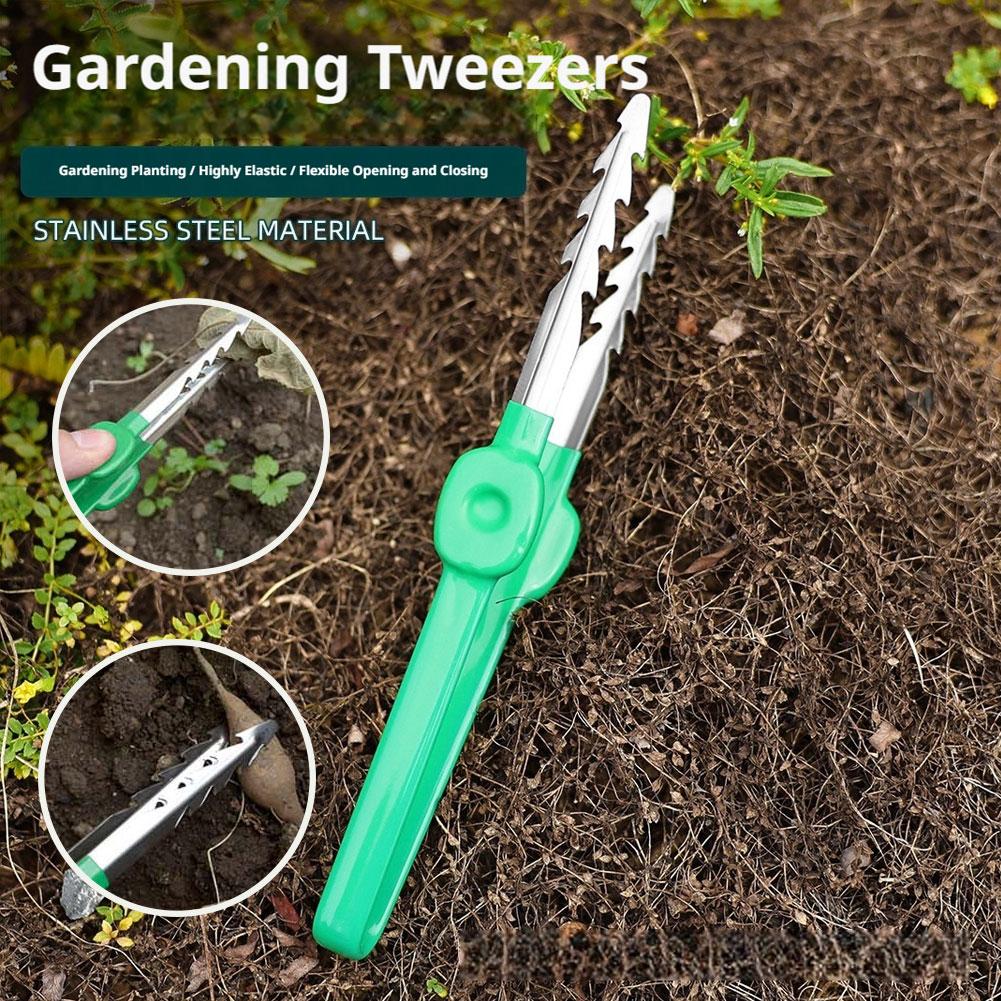 ที่หนีบถอนวัชพืชสำหรับสวนกลางแ - Planted Clip Tweezers บทวิจารณ์และราคา