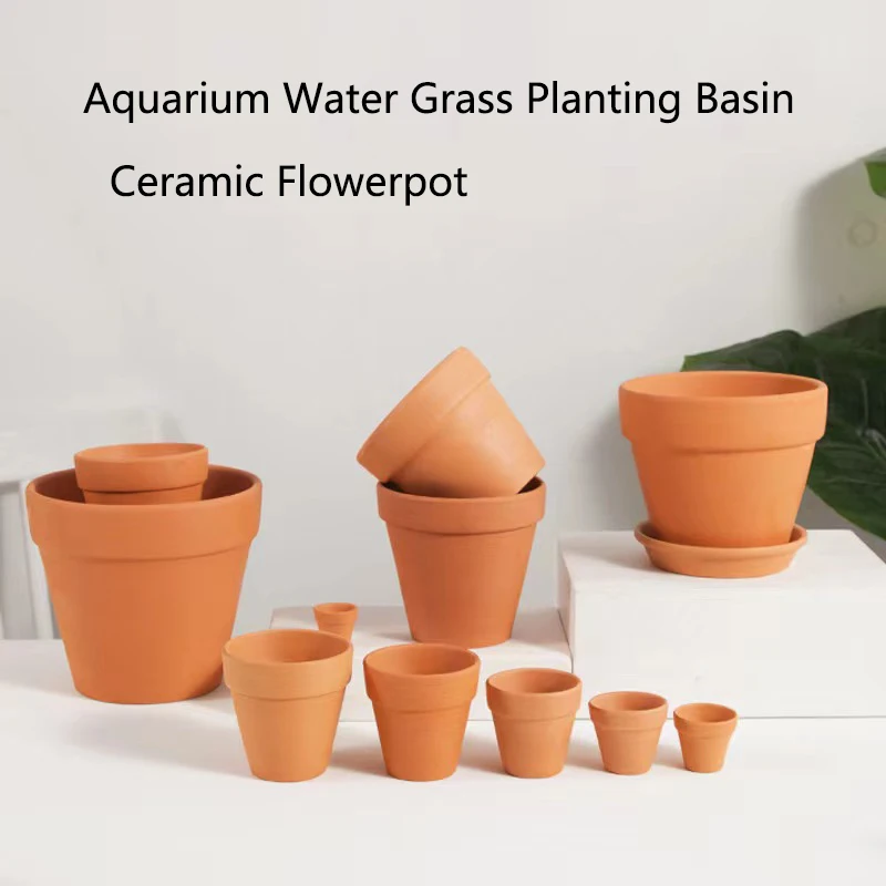 โคลนสีแดงตกแต่งตู้ปลาสําหรับหญ - Planted Aquarium Mini บทวิจารณ์และราคา